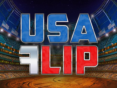 USA Flip screenshot
